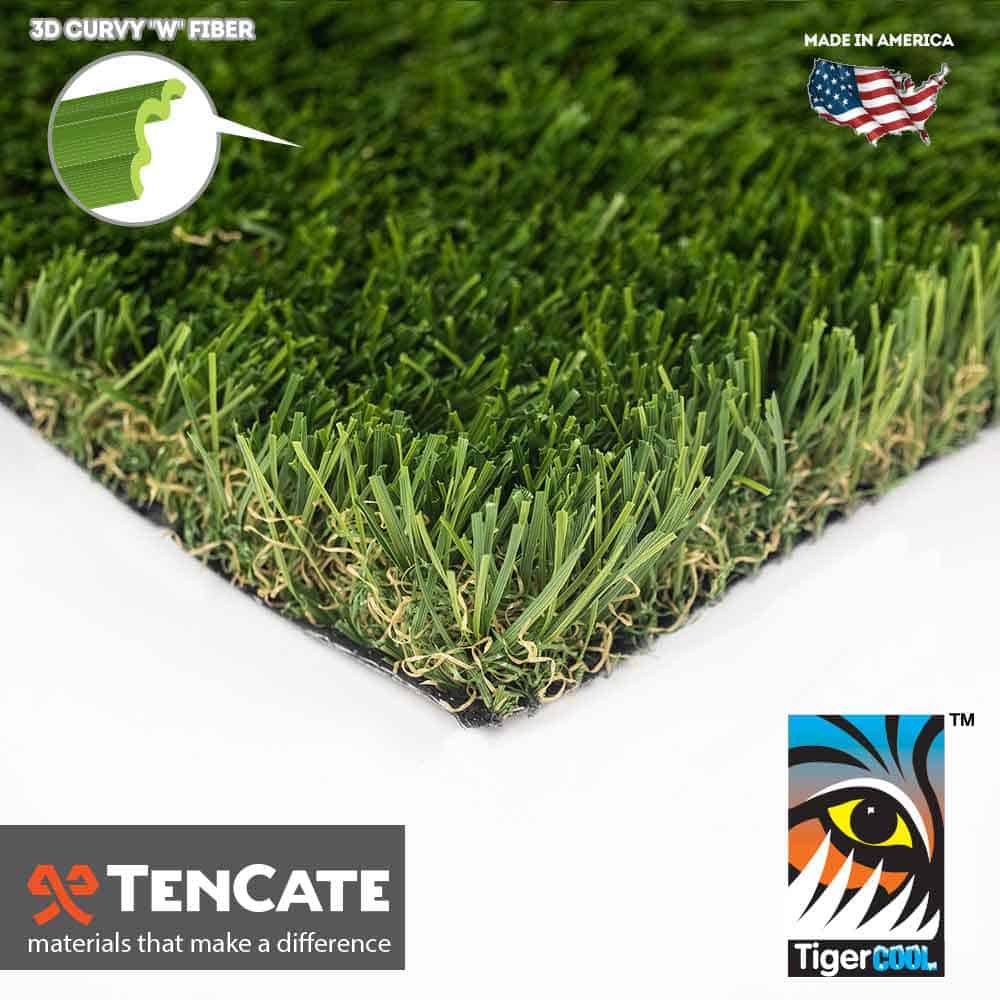 Diamond Light Fescue
