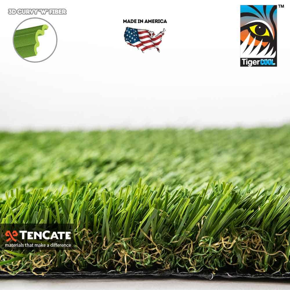 Diamond Light Fescue