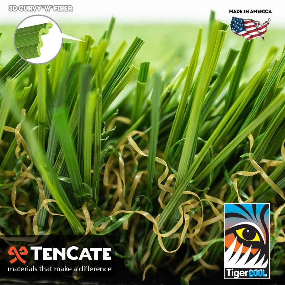 Diamond Light Fescue
