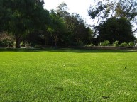 Landscapes