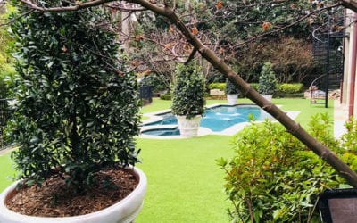 How to Care for Artificial Grass in Winter