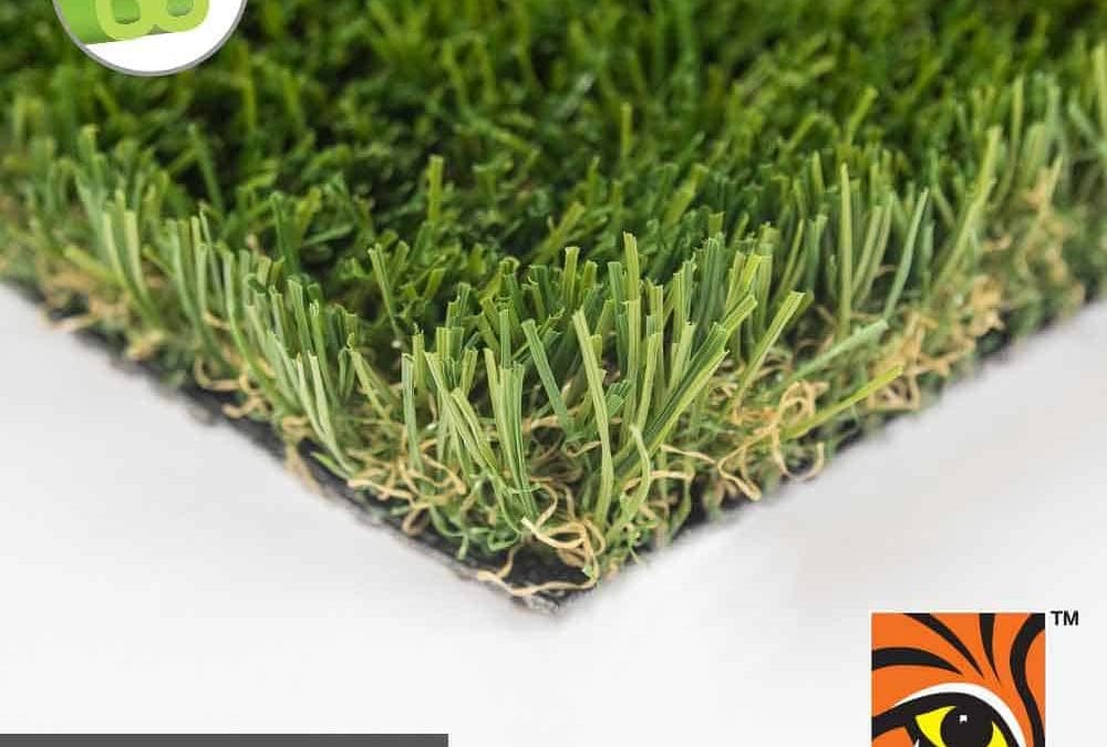 Product Spotlight: Diamond Pro Fescue