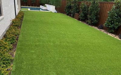 15 good reasons for choosing DFW Turf artificial grass