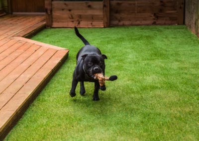 Pet Area Synthetic Grass