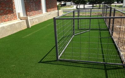 Why Artificial Turf Is Ideal for Dog Kennels