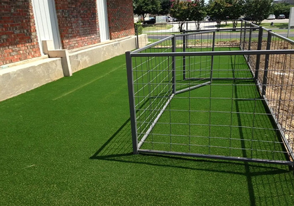 Why Artificial Turf Is Ideal for Dog Kennels