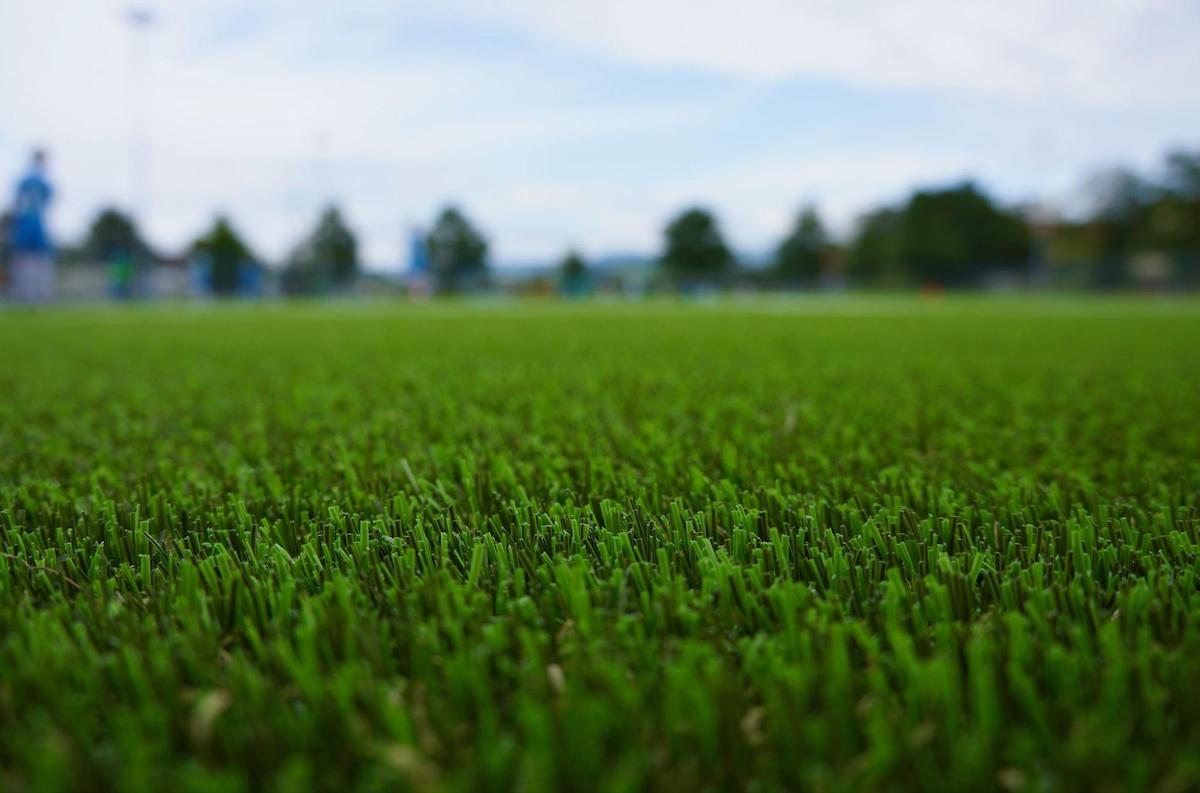 How To Maintain Artificial Grass: 9 Practical Tips