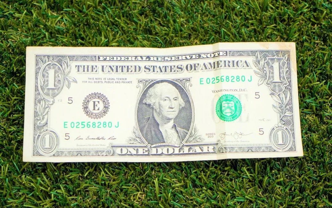 How Much Does Artificial Turf Cost?