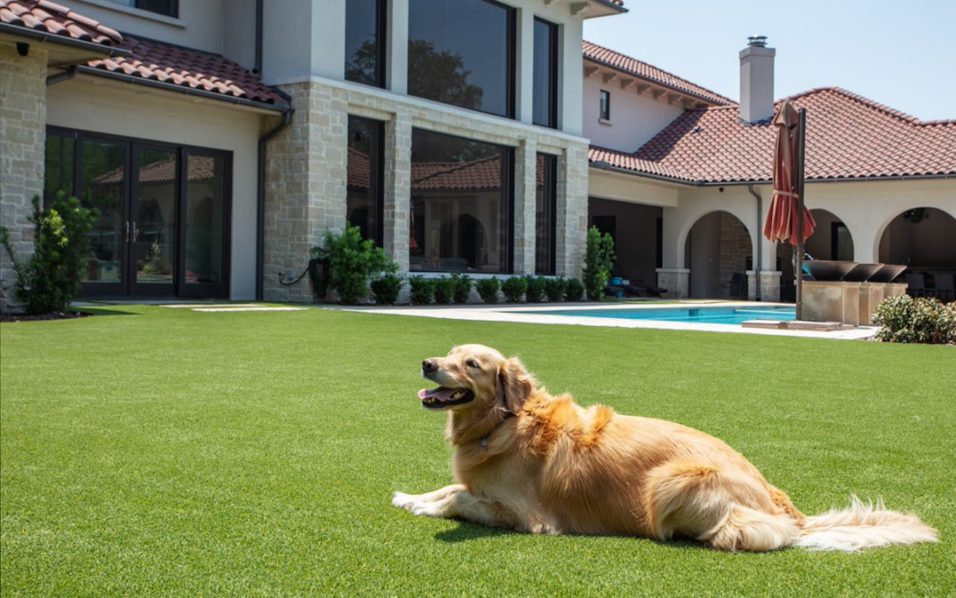 How to Take Care of Artificial Grass With Pets