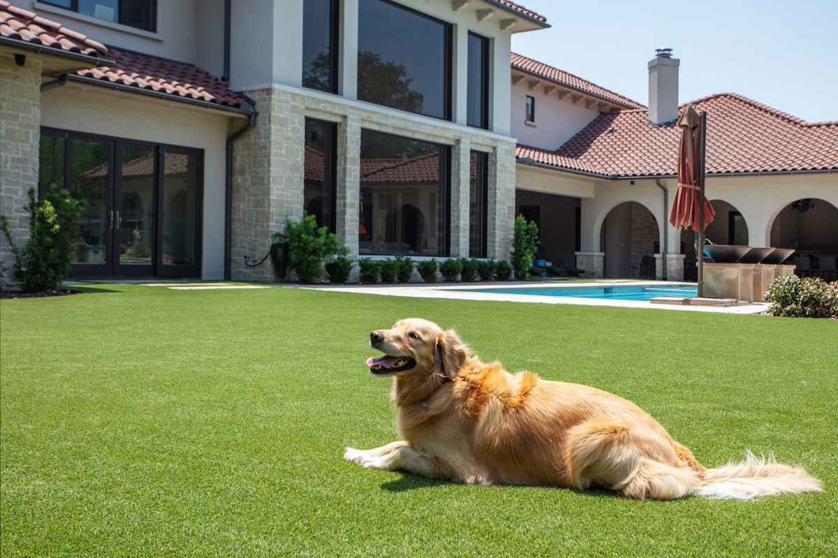 How to Take Care of Artificial Grass With Pets