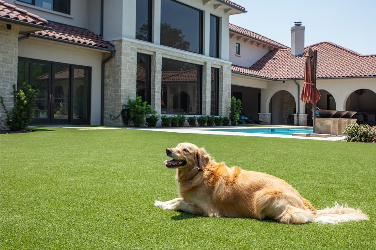 Fake grass for pets to pee on hotsell