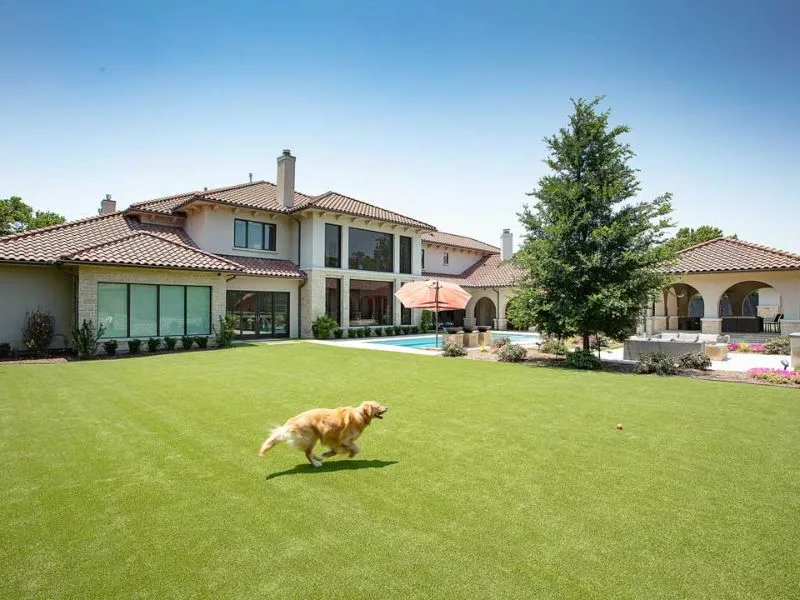 20 Pet Turf FAQs & Answers About Artificial Turf for Dogs