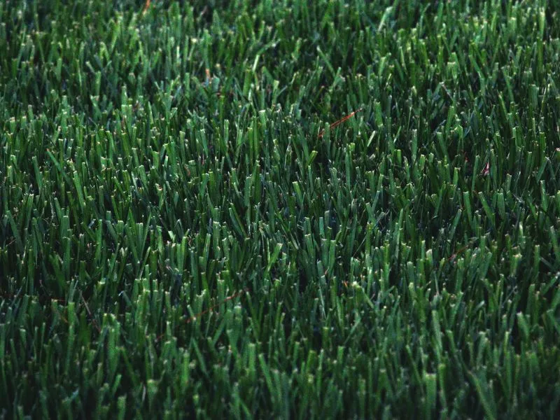 how often does artificial turf need to be replaced