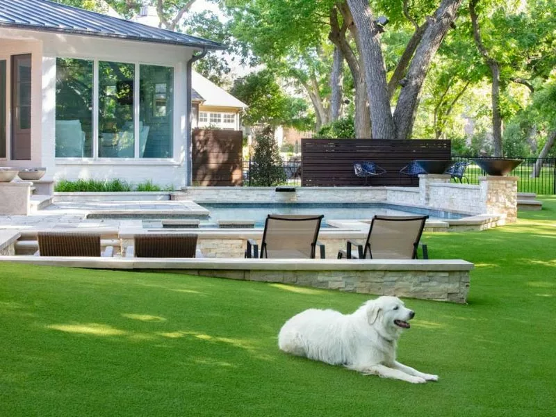 does artificial grass get too hot for dogs