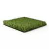 Natural Fescue Pro - Image 2