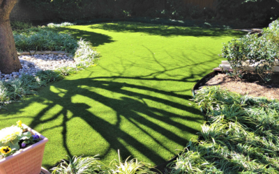 Is Artificial Turf Worth the Cost?