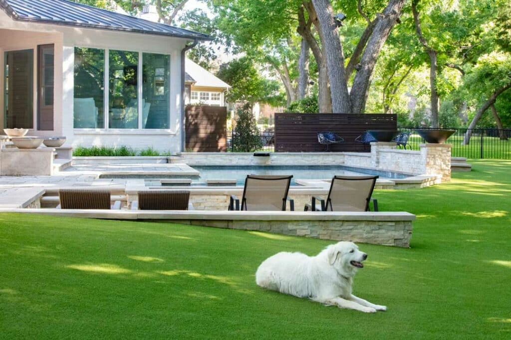 artificial grass that is best for dogs