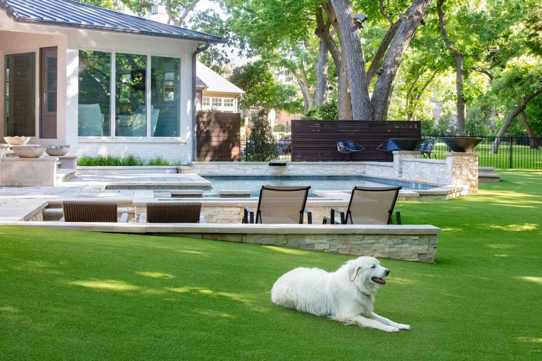 Best Artificial Grass For Dogs With Products best-artificial-grass-for-dogs-with-products