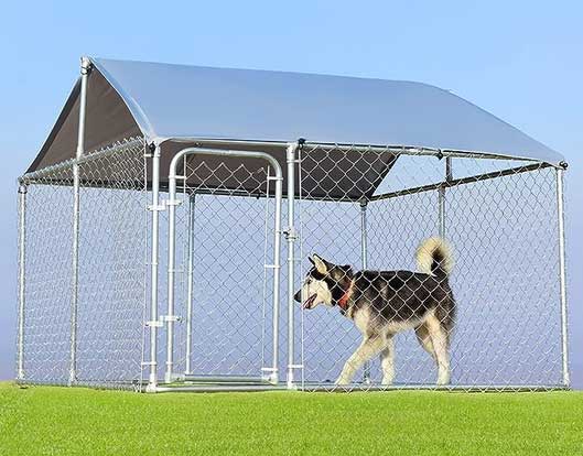 backyard dog run bylaws