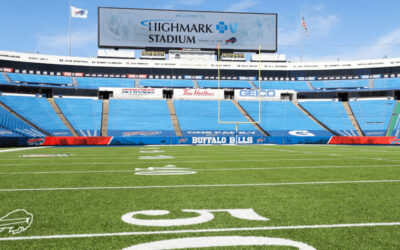 Which NFL Stadiums Have Turf Fields – And Which Use Real Grass?