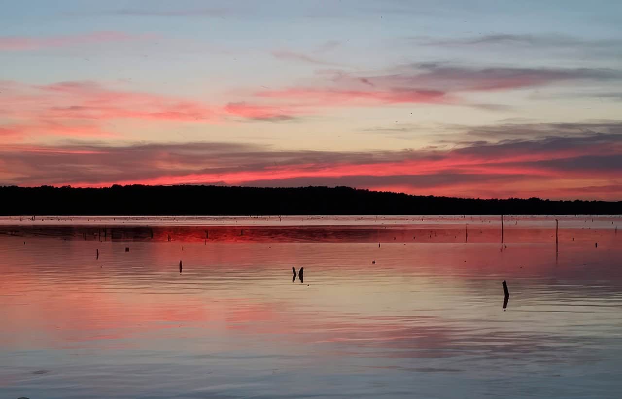 Peaceful sunset over Lake Palestine, with still water reflecting pink and purple clouds beneath a dark treeline on the horizon.