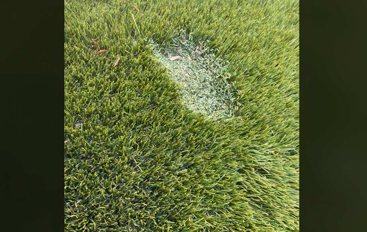 A close-up of artificial grass shows a discolored, melted patch where the green turf has turned pale and flattened.