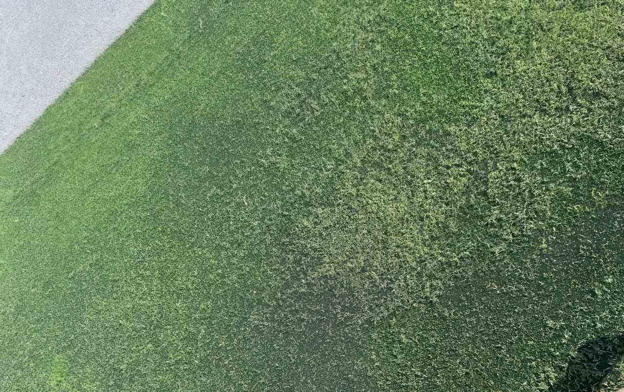 A section of artificial grass shows widespread fading and surface damage, likely from prolonged sun exposure or reflective heat.