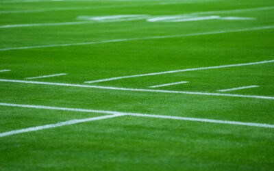 How Many NFL Fields Are Turf Vs Grass?