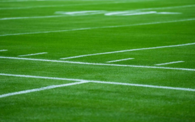 How Many NFL Fields Are Turf Vs Grass? 