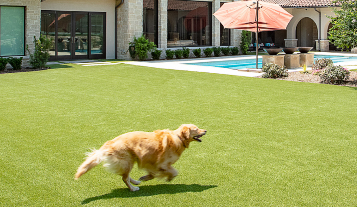 How To Clean Artificial Turf For Dogs hybrid-reinforced-natural-turf-surfaces-sporteng