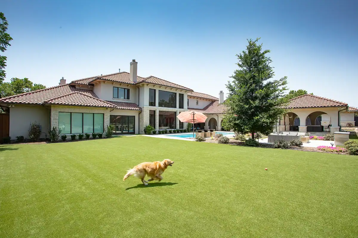 Artificial Turf Pet Run Golden Retriever running on synthetic pet turf in a large backyard with a pool