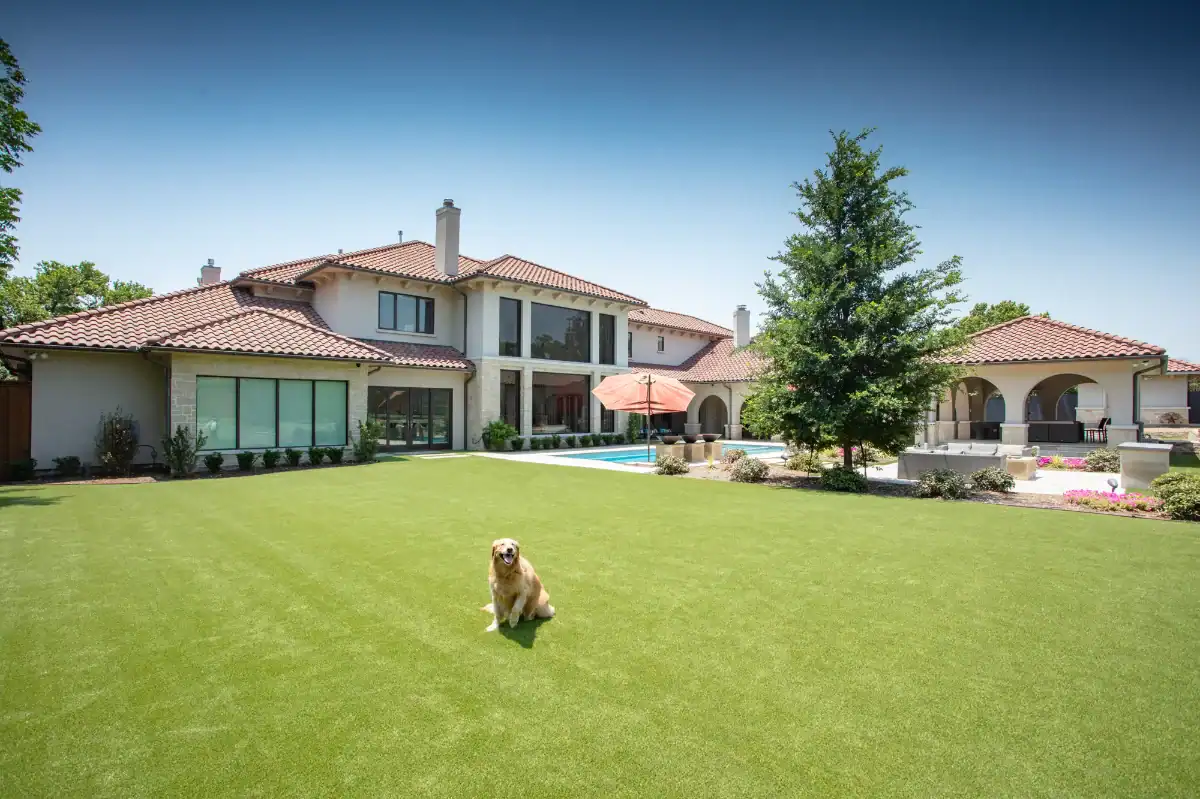 Artificial Pet Turf Yard in Plano Artificial Pet Turf Yard in Plano with a golden retriever sitting on it